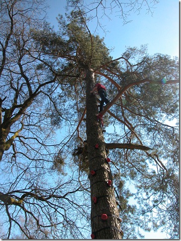 auf 10m Höhe am Ende der Ausbaustrecke