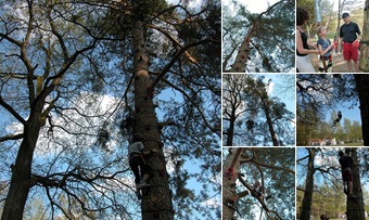 Baumklettern an Ostern auf See-Camping Weichselbrunn anzeigen