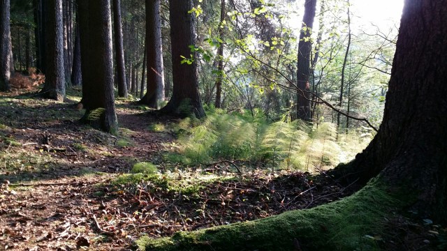 20140905_182610.jpg image