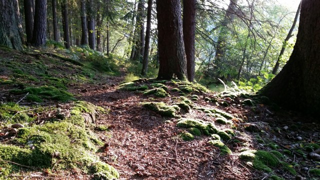 20140905_182705.jpg image