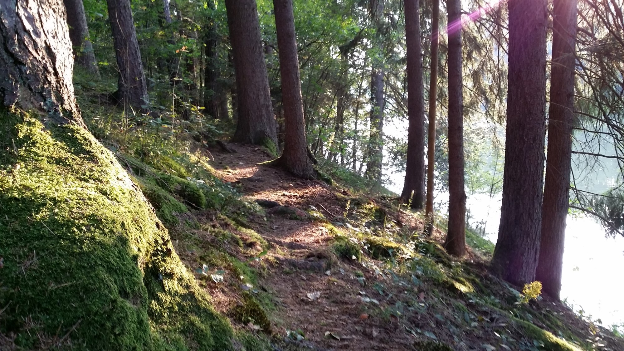 wpid-20140905_183215.jpg image