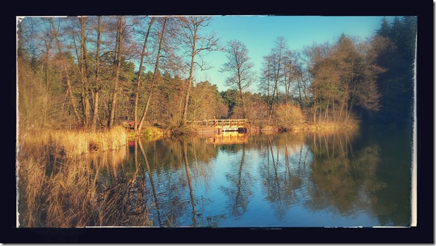 20151207_111321-EFFECTS